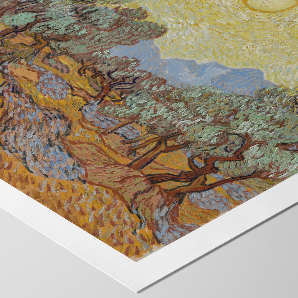 Olive Trees with Yellow Sky and Sun Canvas Print