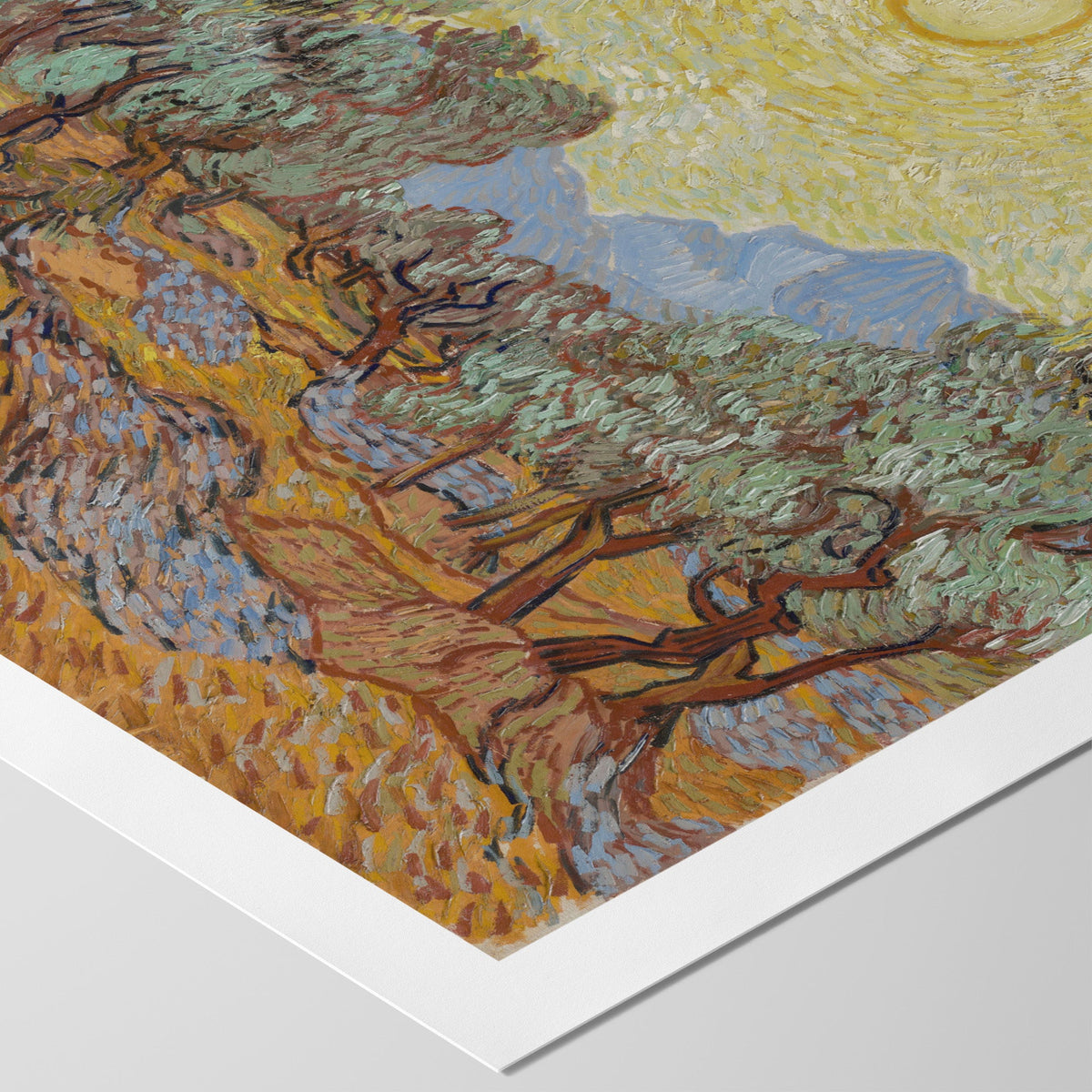 Olive Trees with Yellow Sky and Sun Canvas Print
