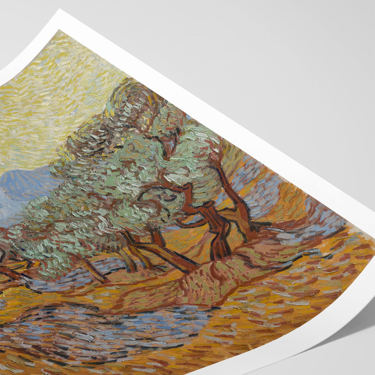 Olive Trees with Yellow Sky and Sun Canvas Print