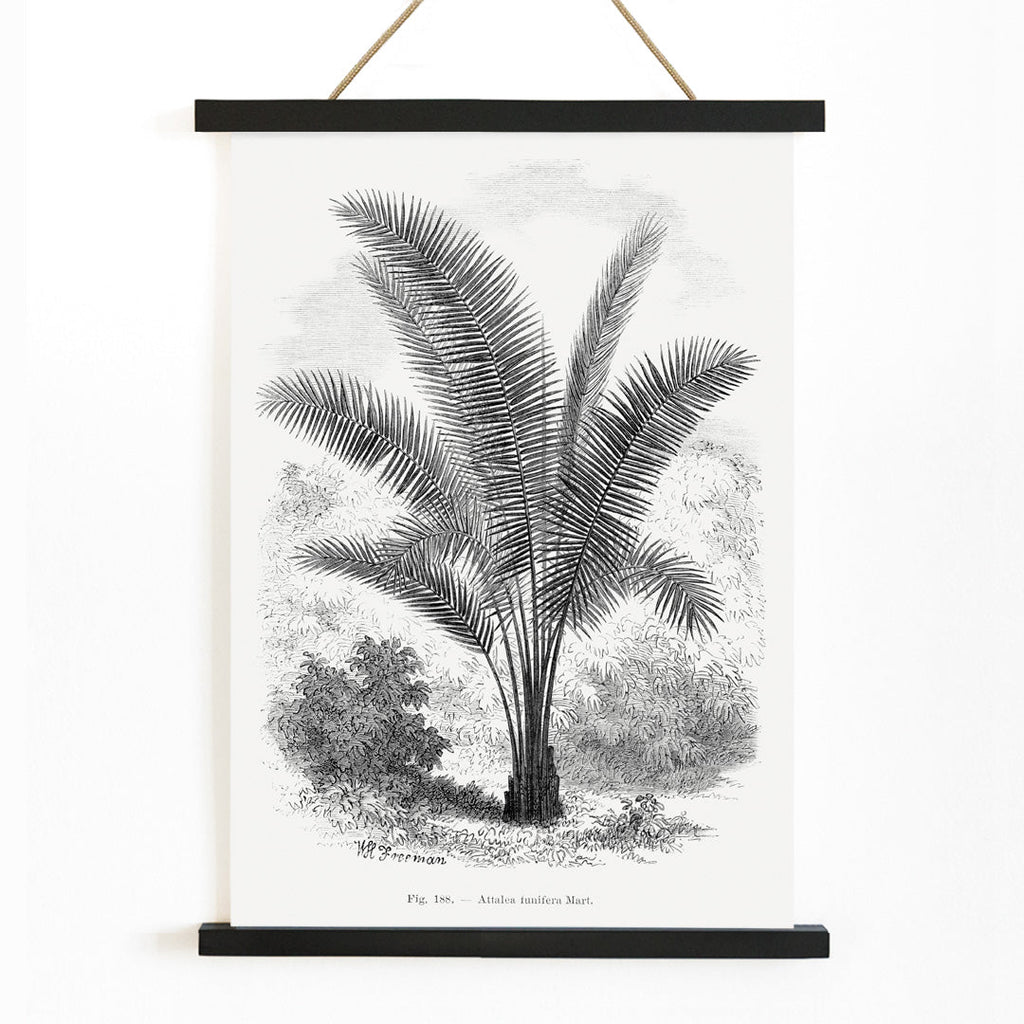Palmier vintage Canvas Print