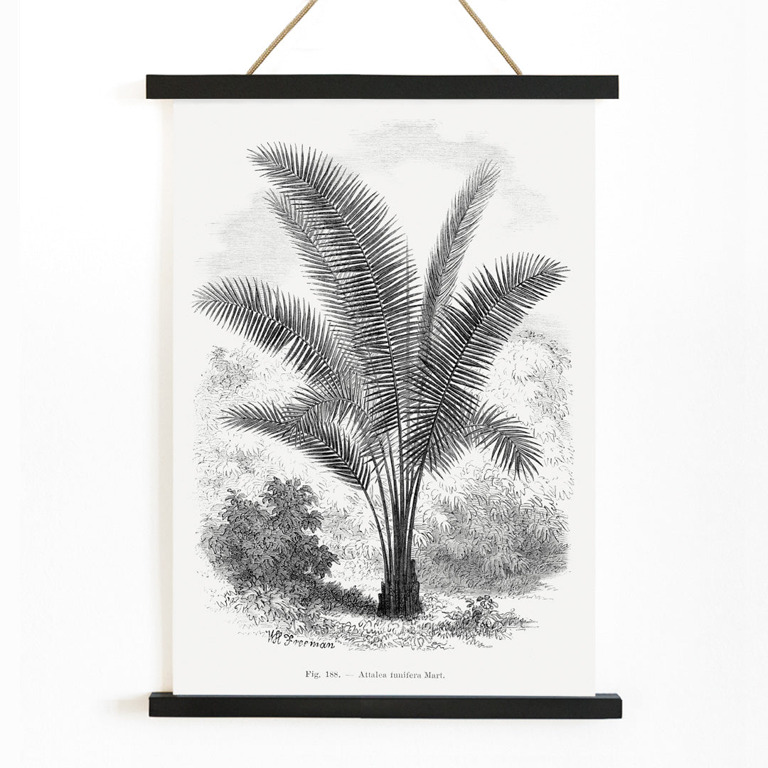 Palmier vintage Canvas Print