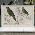 Deux perruches Poster by Moryarty - Oil Painting canvas print