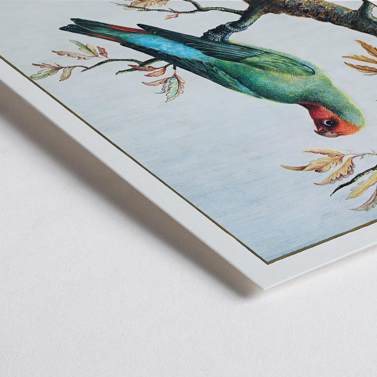 Étude d'oiseau Canvas Print