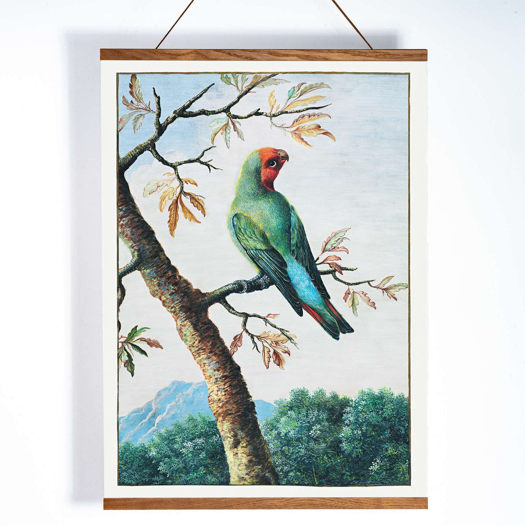 Étude d'oiseau Canvas Print