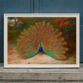 Paon et paon du jour Poster by Moryarty - Oil Painting canvas print