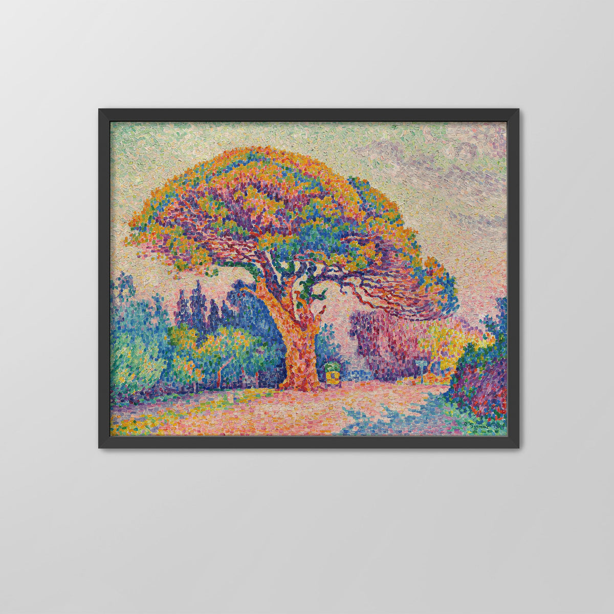 The Pine Tree at Saint Tropez Canvas Print