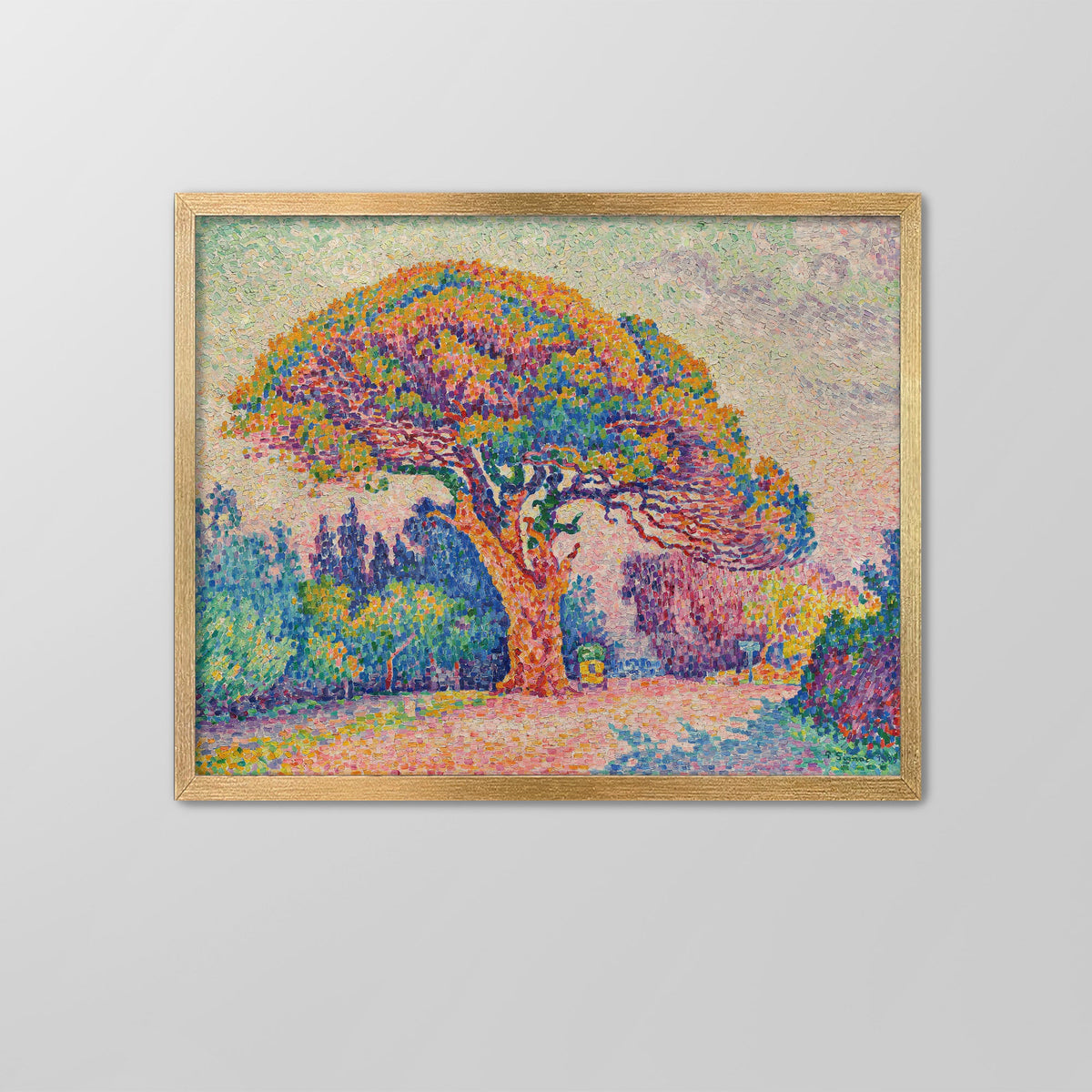 The Pine Tree at Saint Tropez Canvas Print