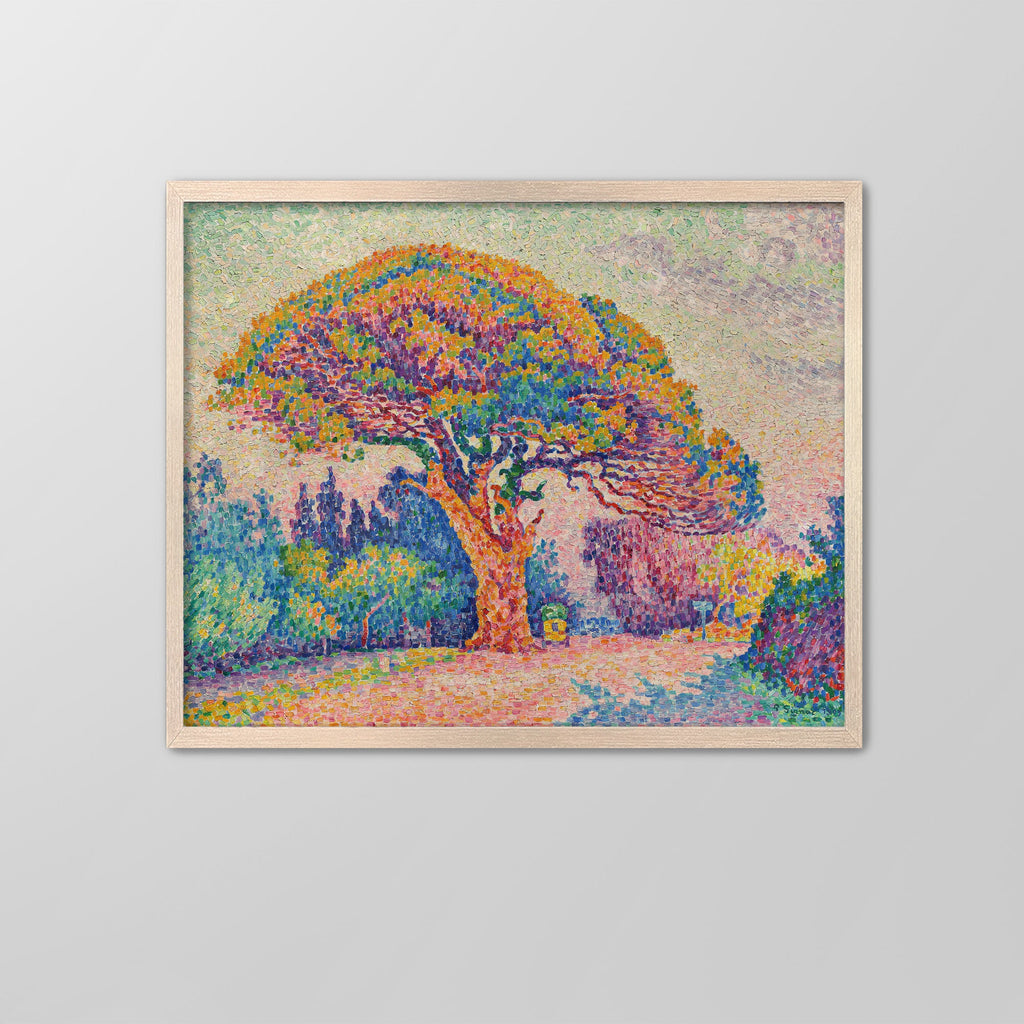 The Pine Tree at Saint Tropez Canvas Print