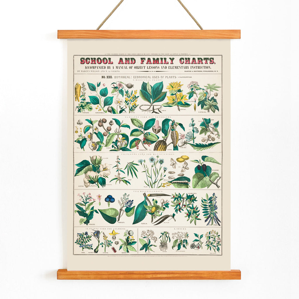 Utilisations économiques des plantes Canvas Print