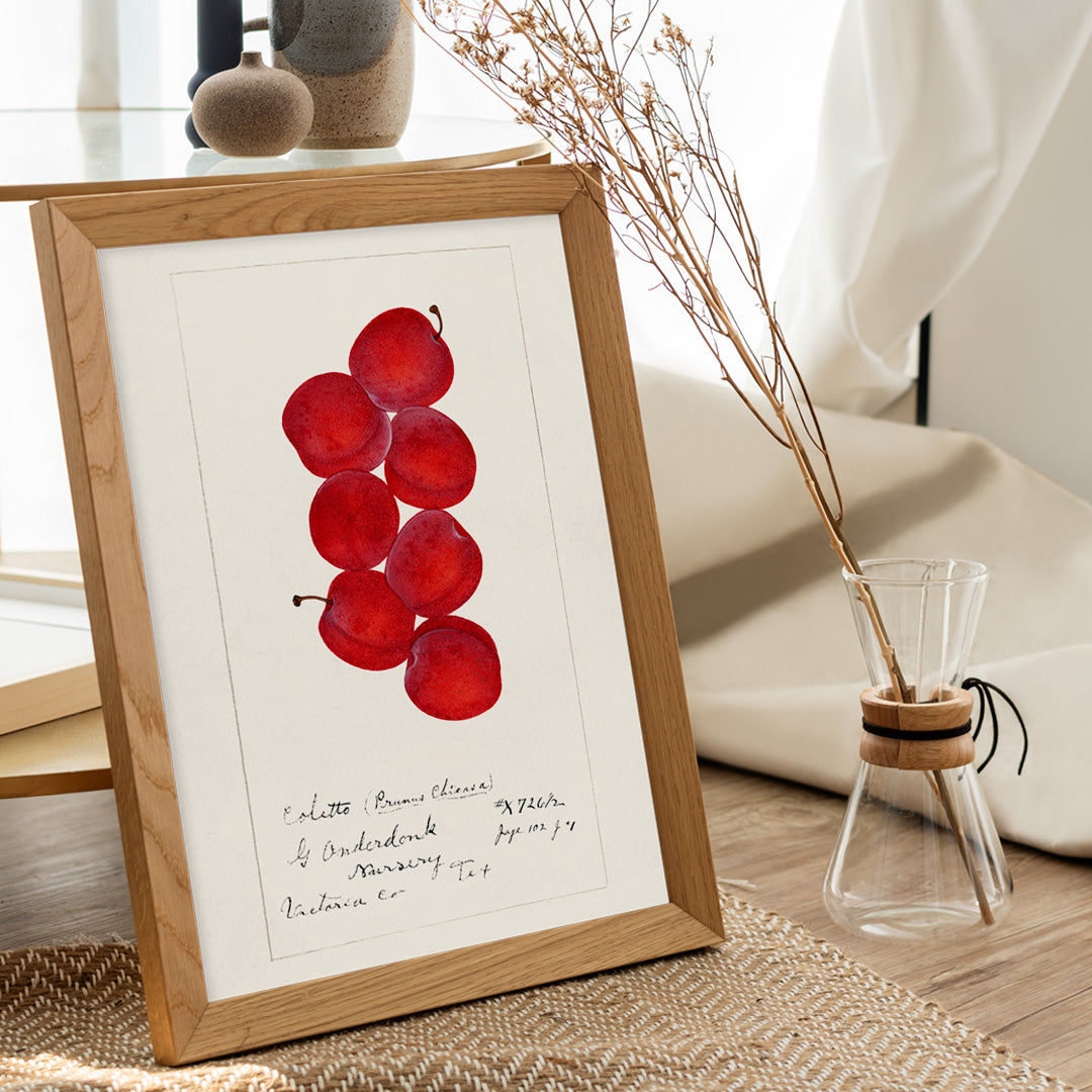 Prunus domestica Poster by Moryarty - Oil Painting canvas print
