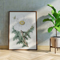 Pavot du Mexique Poster by Moryarty - Oil Painting canvas print