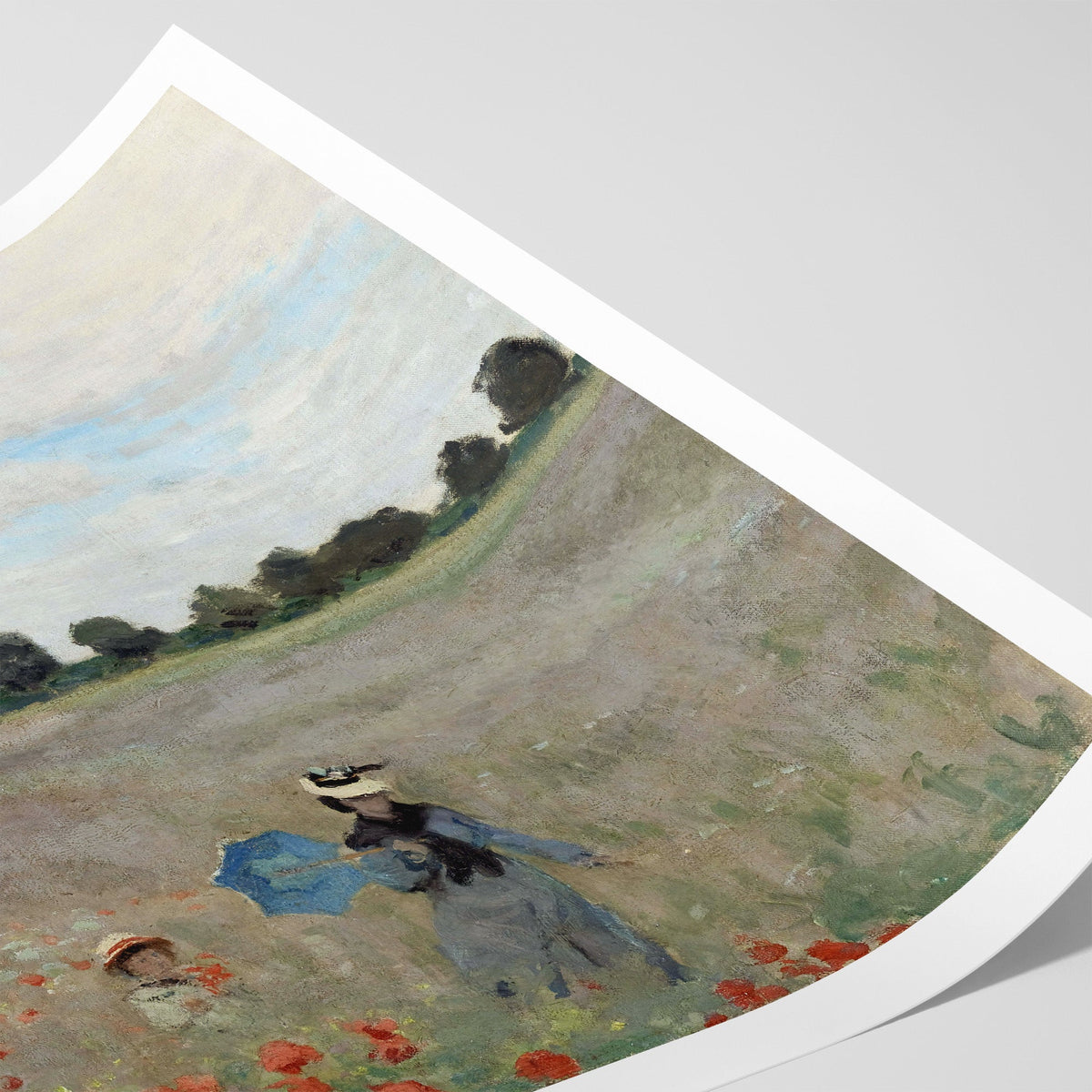 Poppy Field Canvas Print