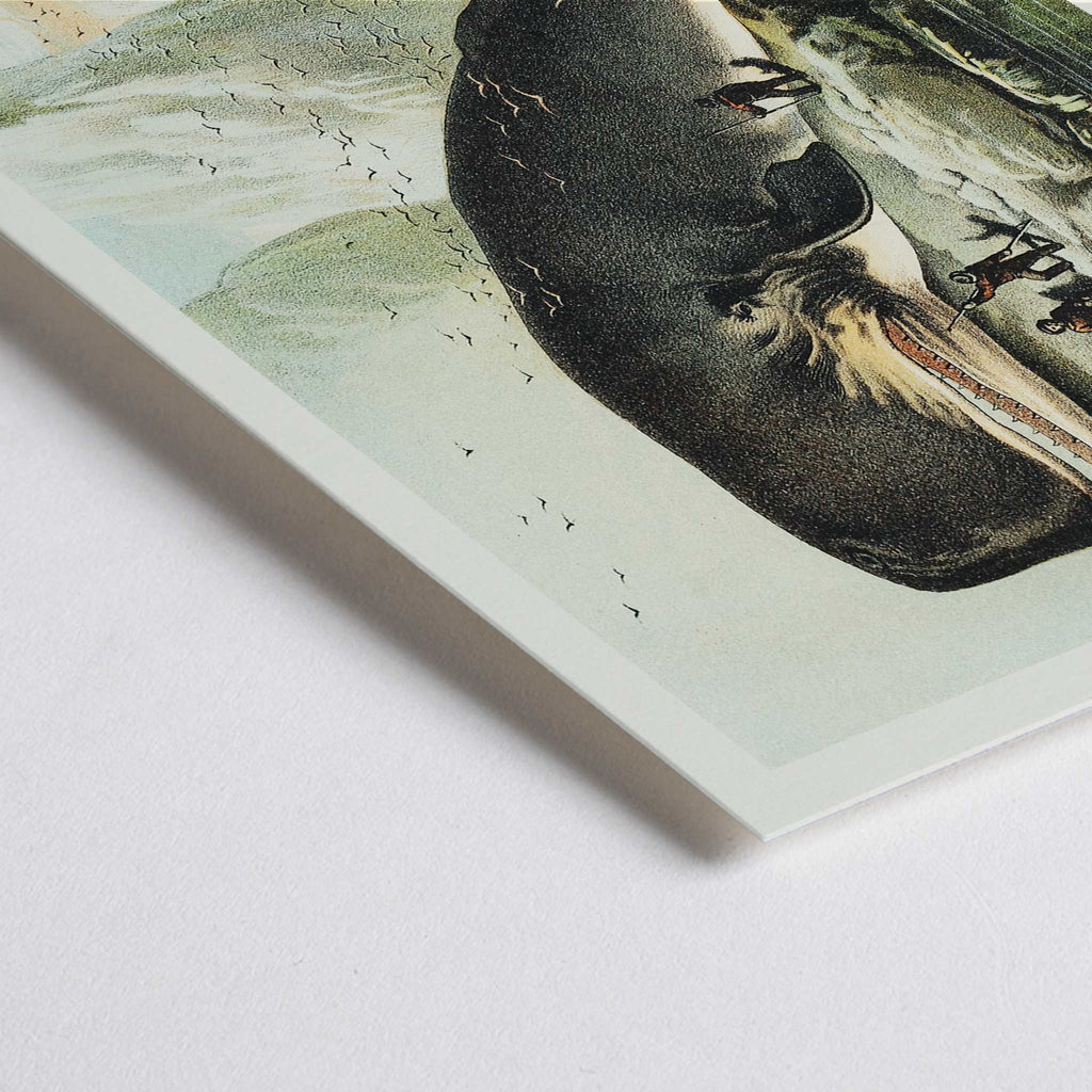 Cachalot Canvas Print