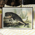 Cachalot Canvas Print