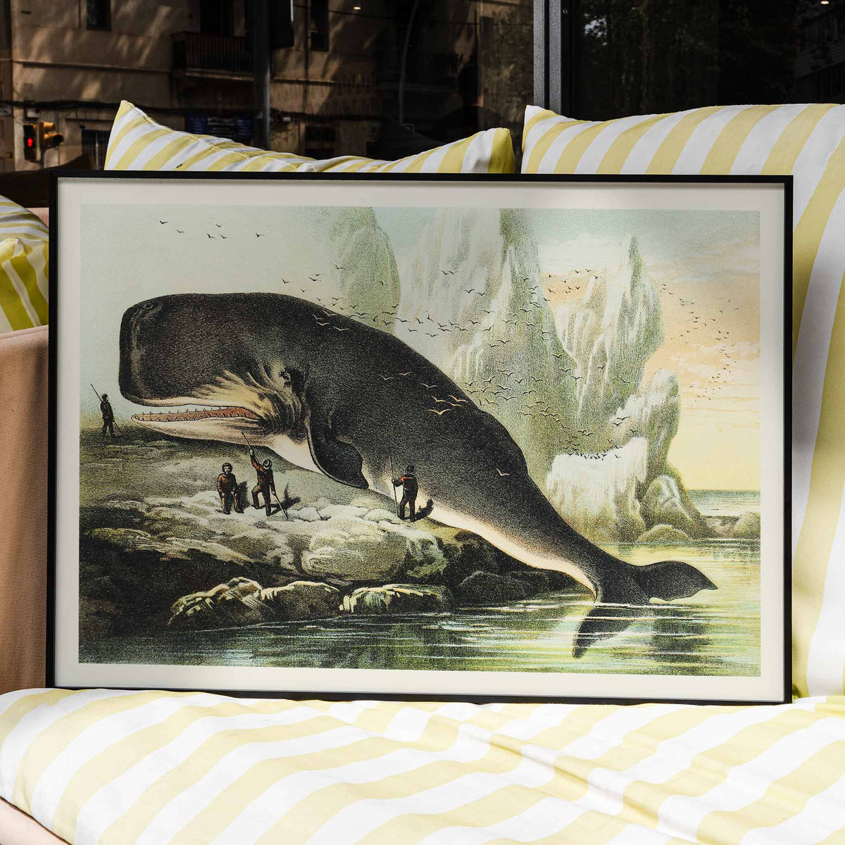 Cachalot Canvas Print