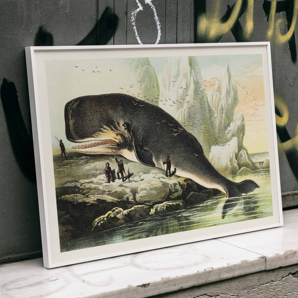 Cachalot Canvas Print