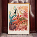 chinodermes de la Grande Barrire de Corail Poster by Moryarty - Oil Painting canvas print