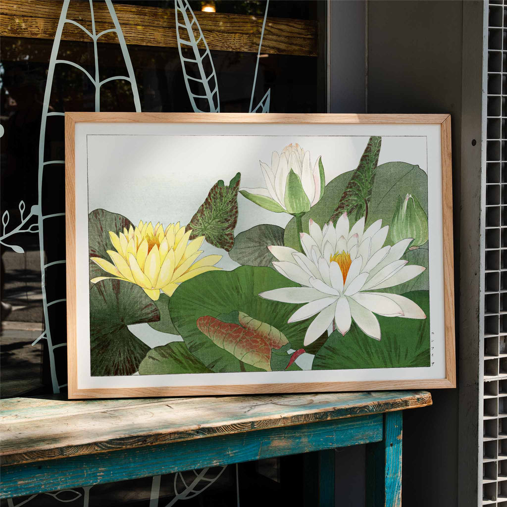 Nymphaea lotus Canvas Print