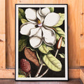 Laurier Canvas Print
