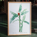 Banane carlate Poster by Moryarty - Oil Painting canvas print