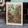 MuscinaeLaubmoose Poster by Moryarty - Oil Painting canvas print