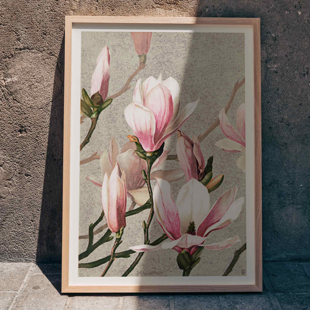 Magnolia Canvas Print