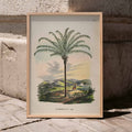 Maximiliana Regia Poster by Moryarty - Oil Painting canvas print
