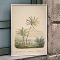 Attalea Compta Canvas Print