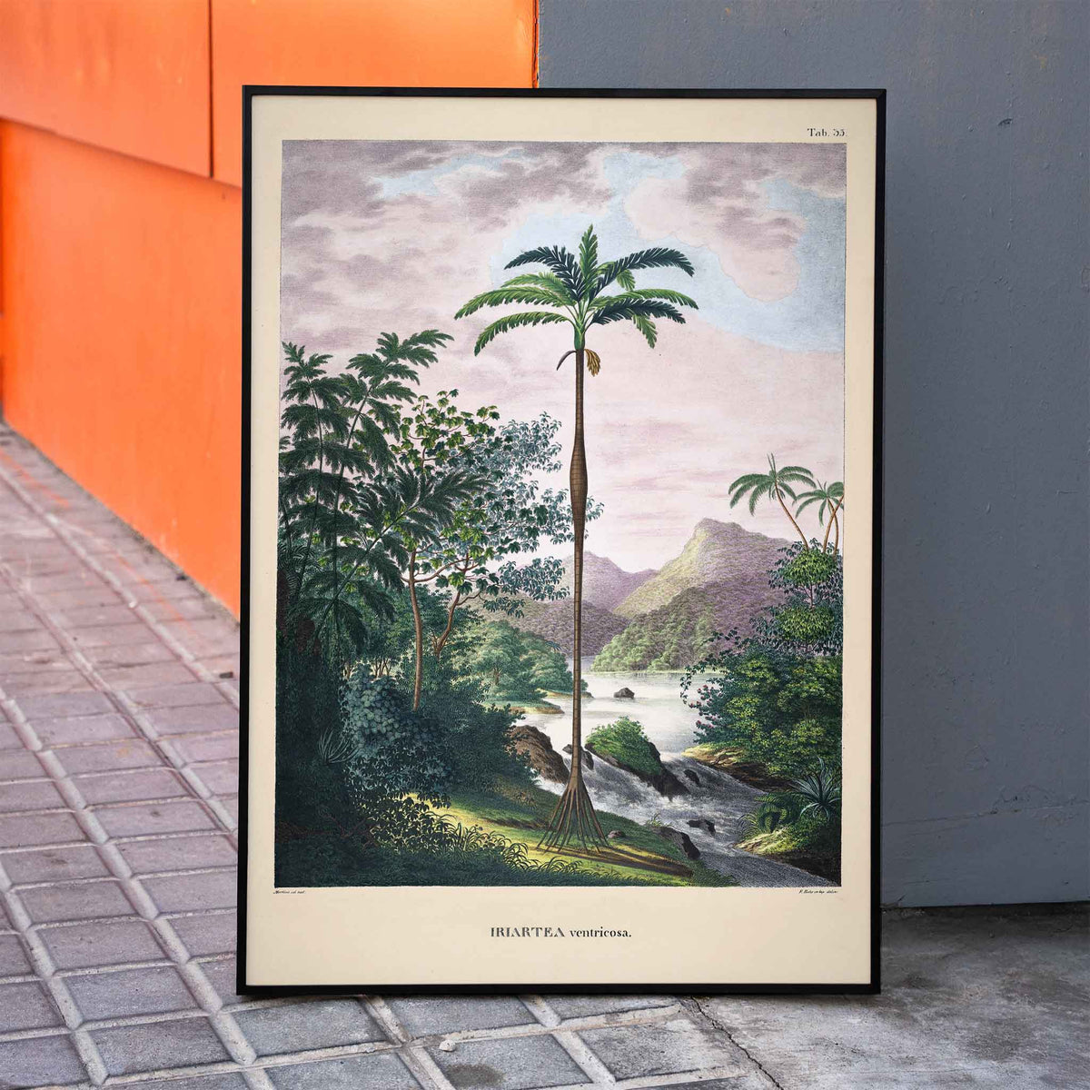 Iriartea ventricosa Poster by Moryarty - Oil Painting canvas print