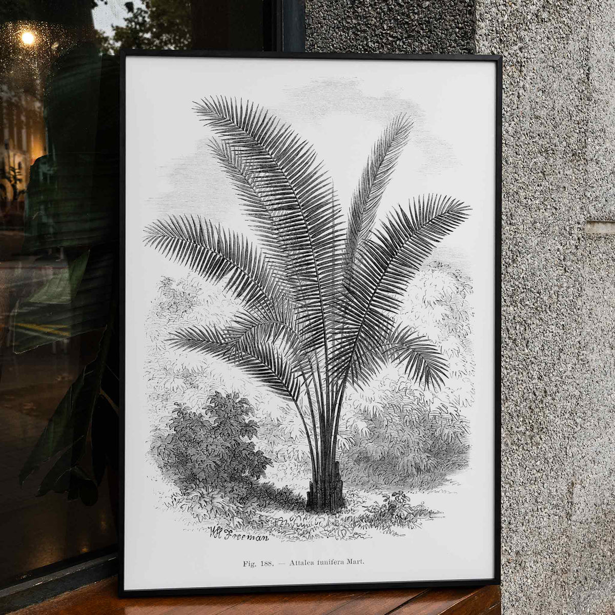 Palmier vintage Poster by Moryarty - Oil Painting canvas print