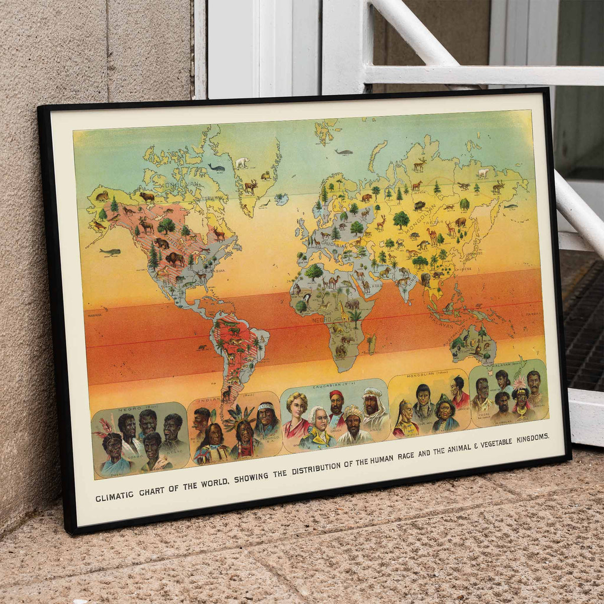 Carte climatique du monde Poster by Moryarty - Oil Painting canvas print