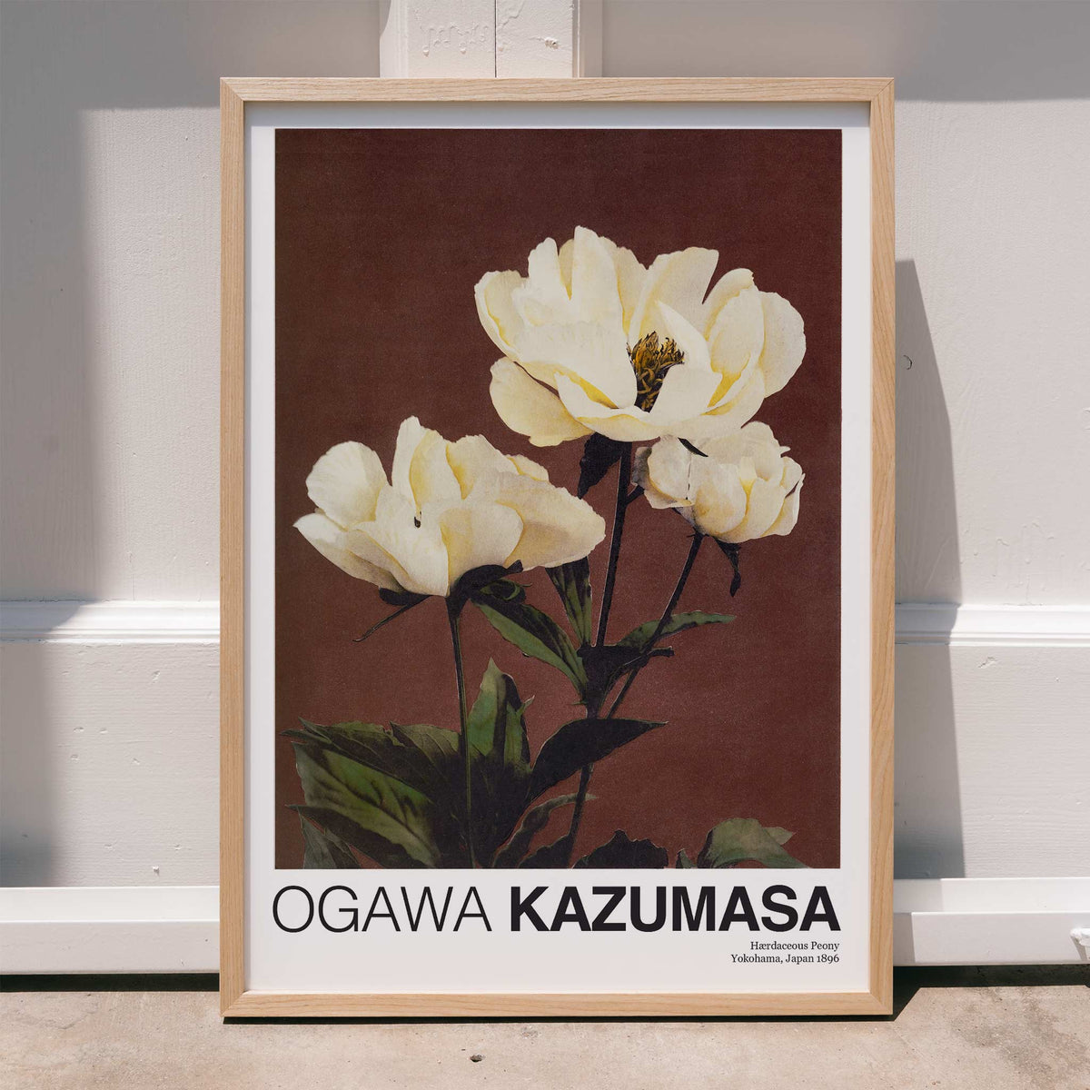 Pivoine Hrdaceous Poster by Moryarty - Oil Painting canvas print
