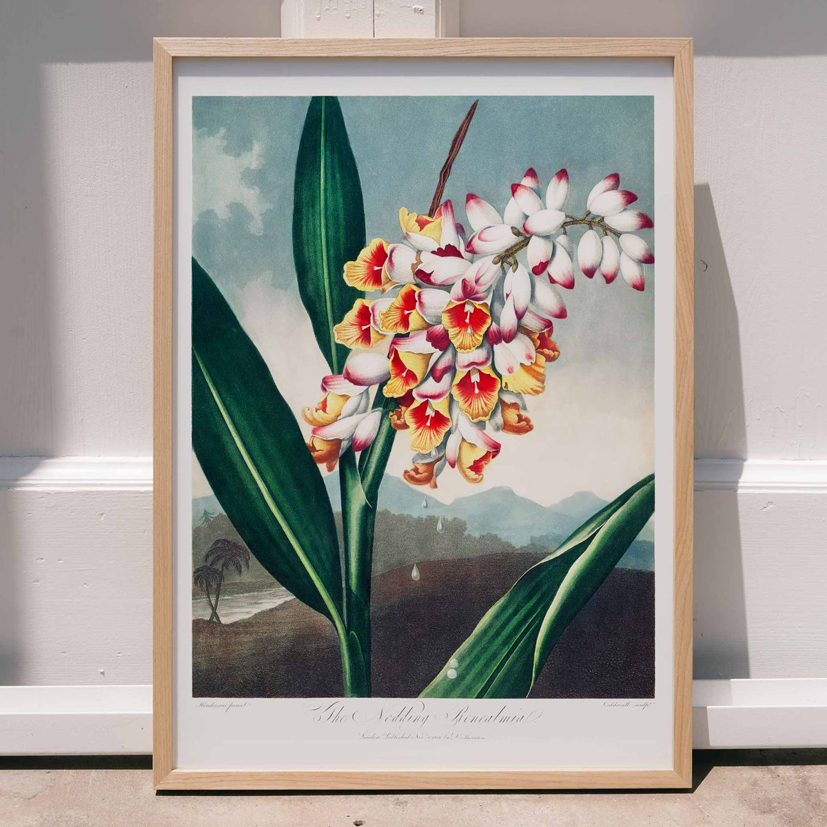 Renealmia incline Poster by Moryarty - Oil Painting canvas print