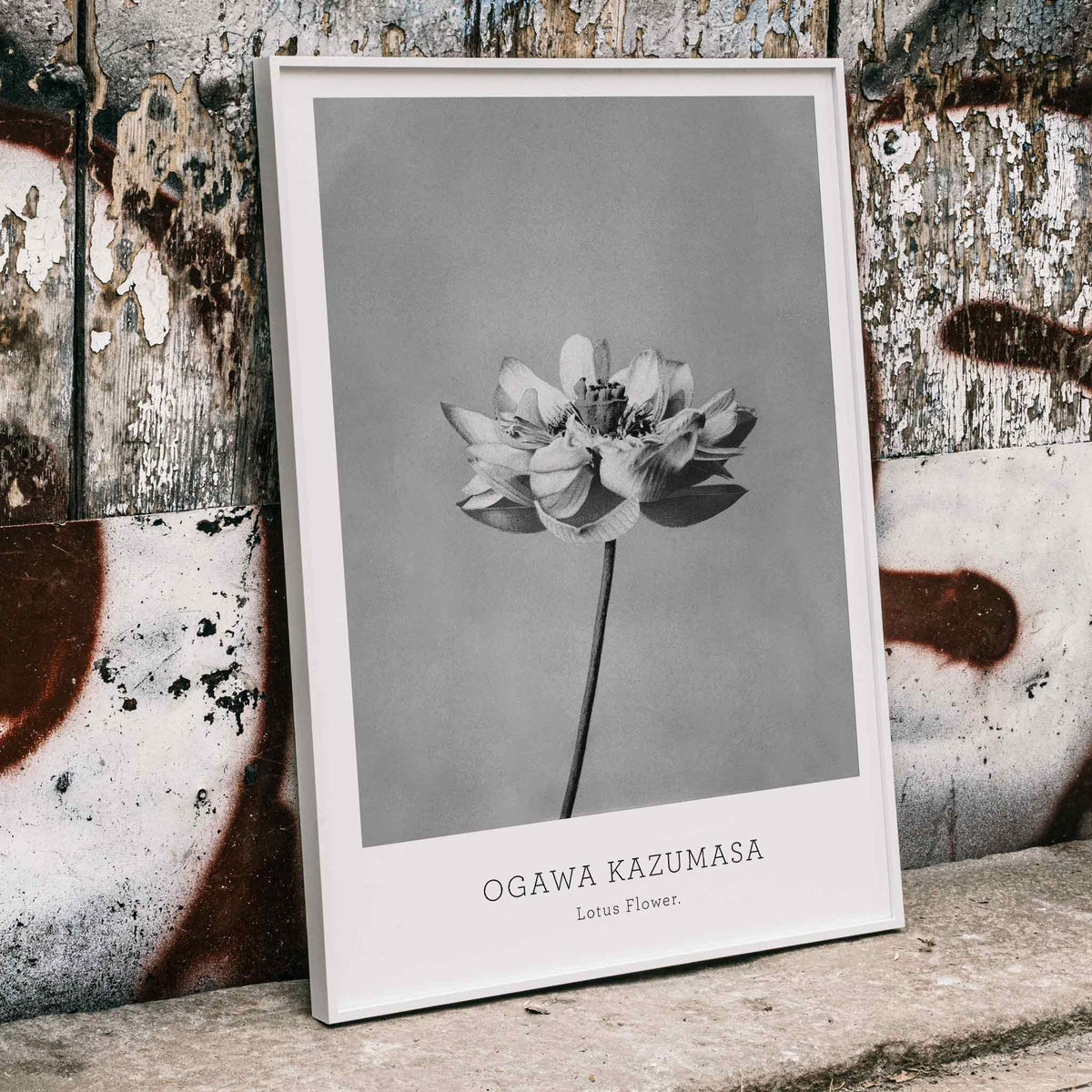 Lotus monochrome Poster by Moryarty - Oil Painting canvas print