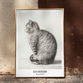 Chat assis, profil gauche Canvas Print