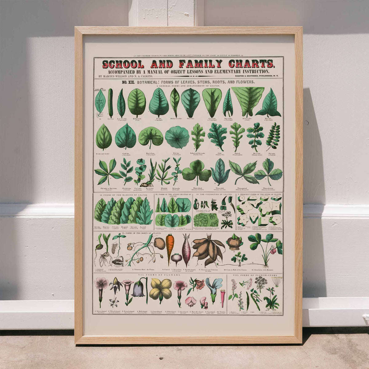 Formes des feuilles Poster by Moryarty - Oil Painting canvas print
