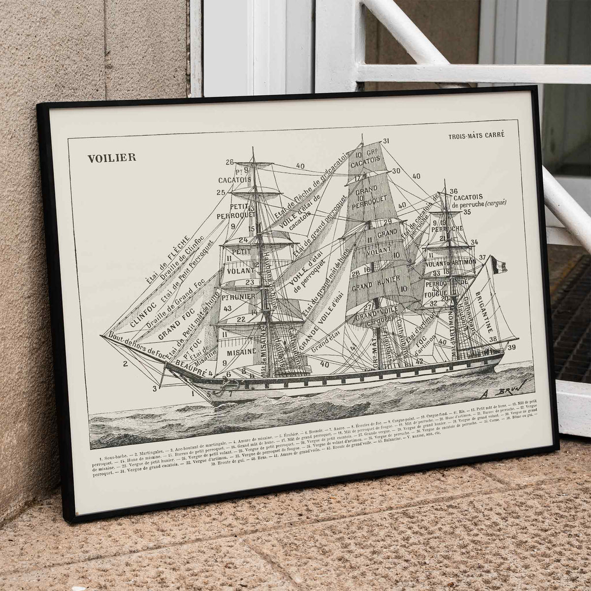Schma de voilier Poster by Moryarty - Oil Painting canvas print