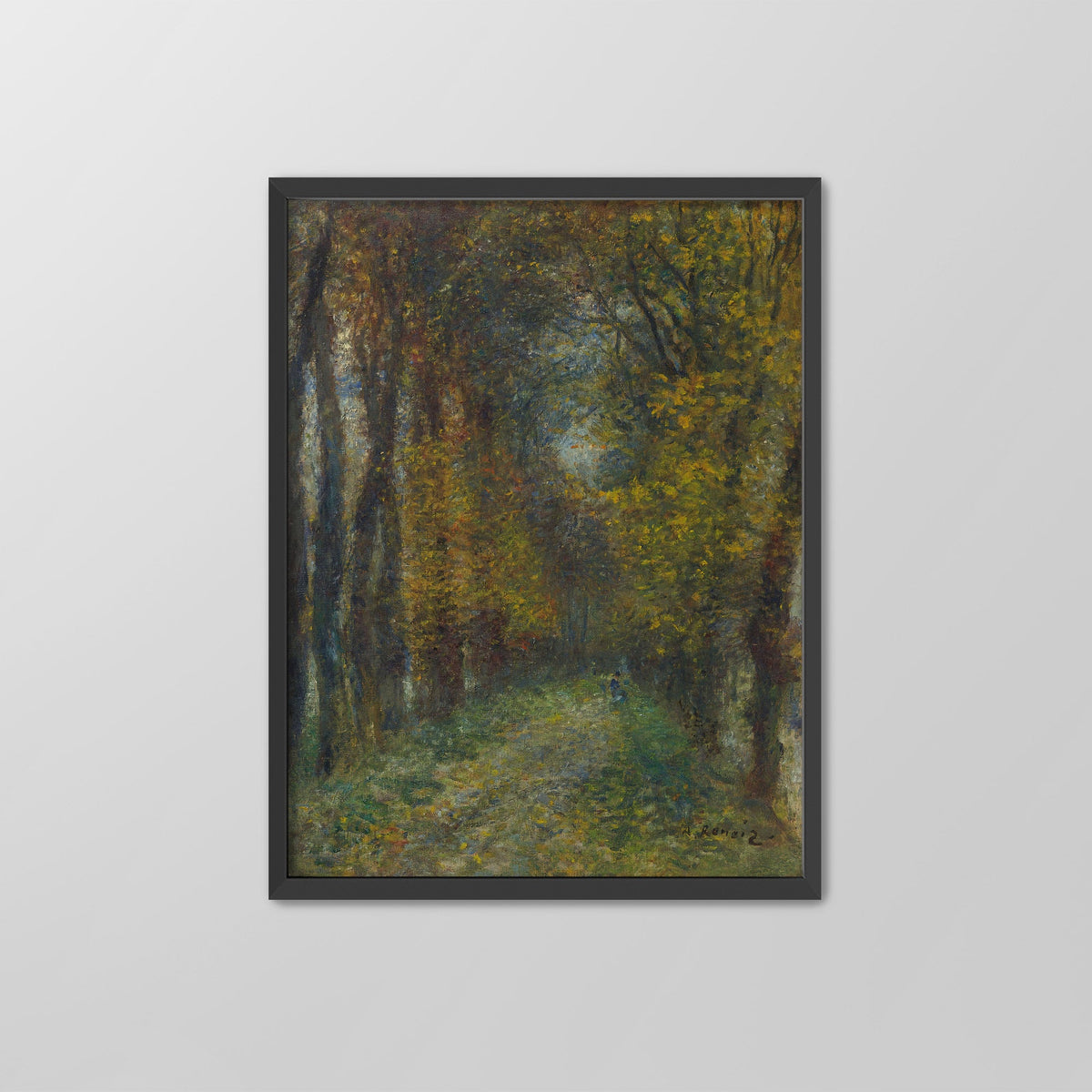 Shaded Path Canvas Print