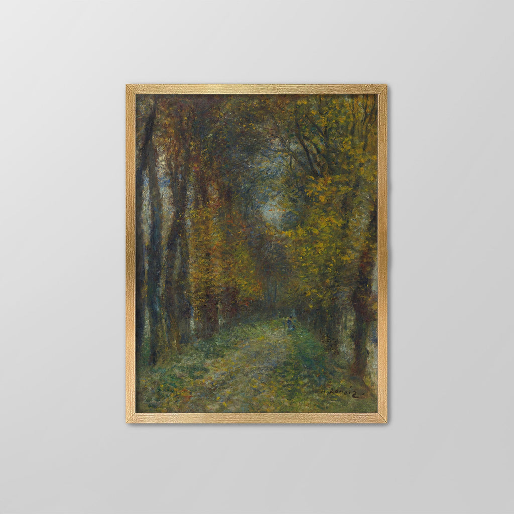 Shaded Path Canvas Print
