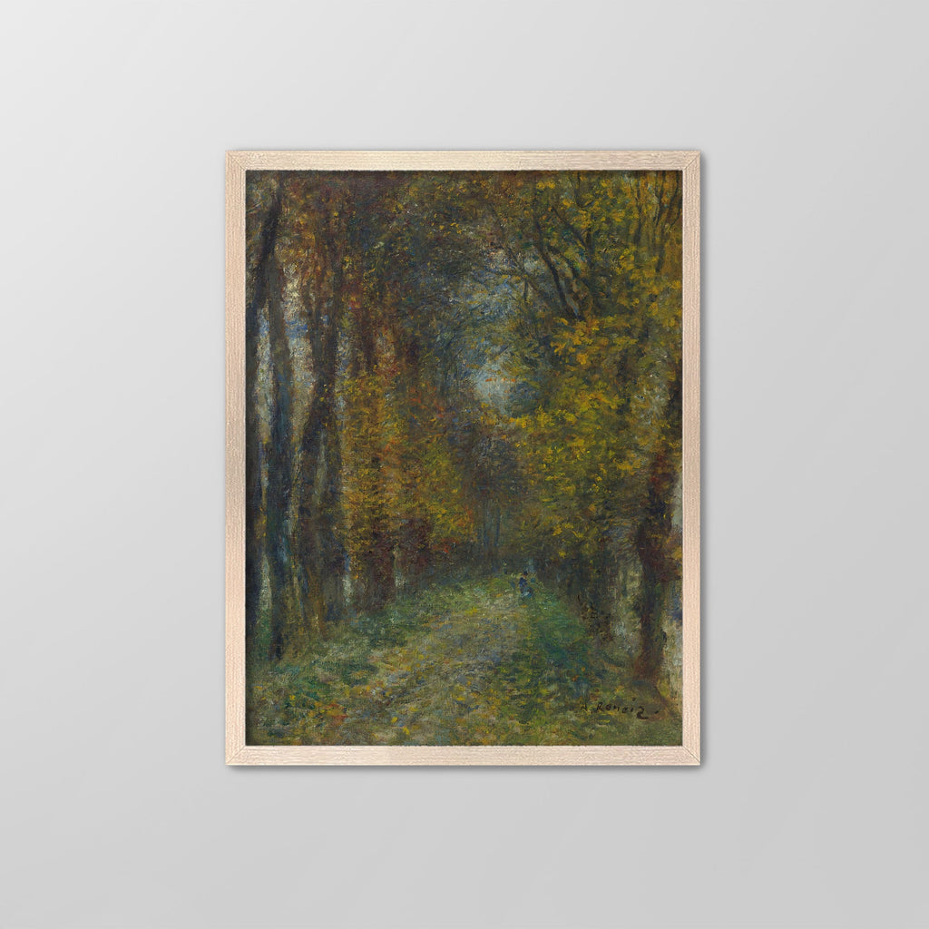 Shaded Path Canvas Print