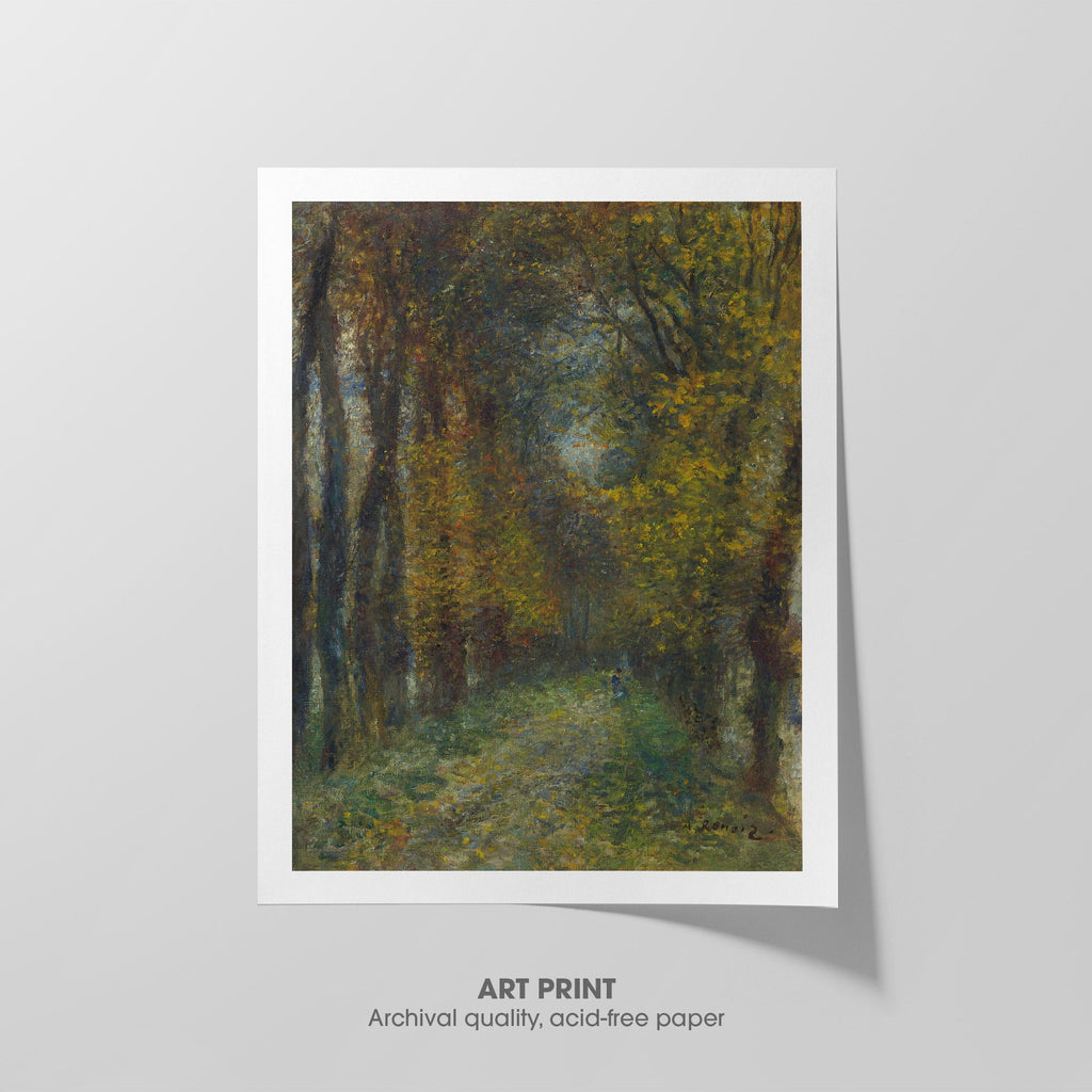 Shaded Path Canvas Print