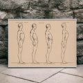 tude de posture debout Poster by Moryarty - Oil Painting canvas print