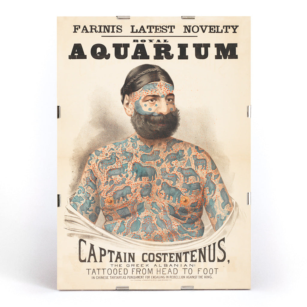 Captain Costentenus Canvas Print