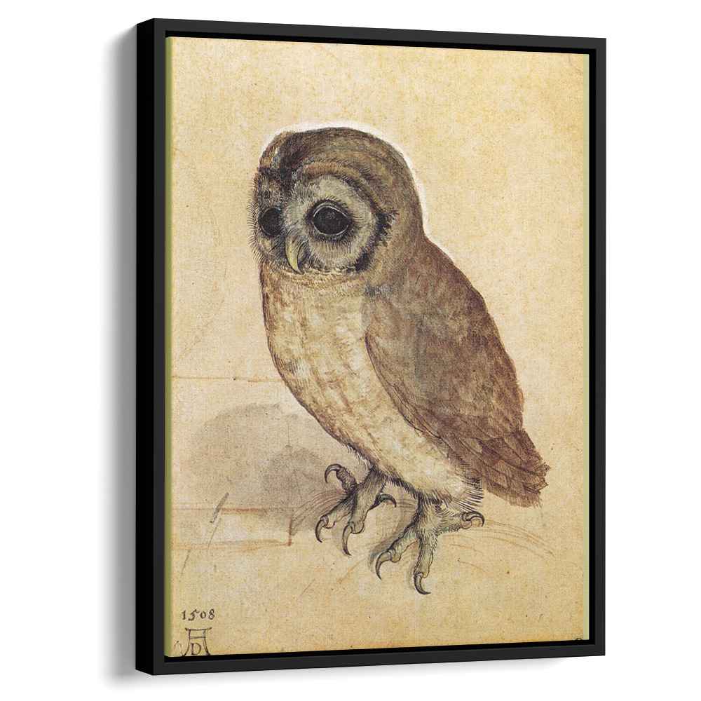 The Little Owlby Albrecht Durer Canvas Print