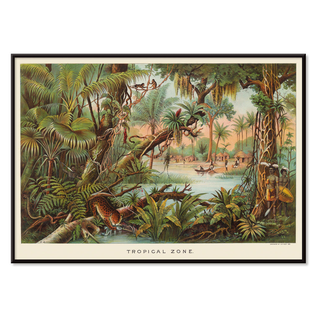 Zone tropicale Canvas Print