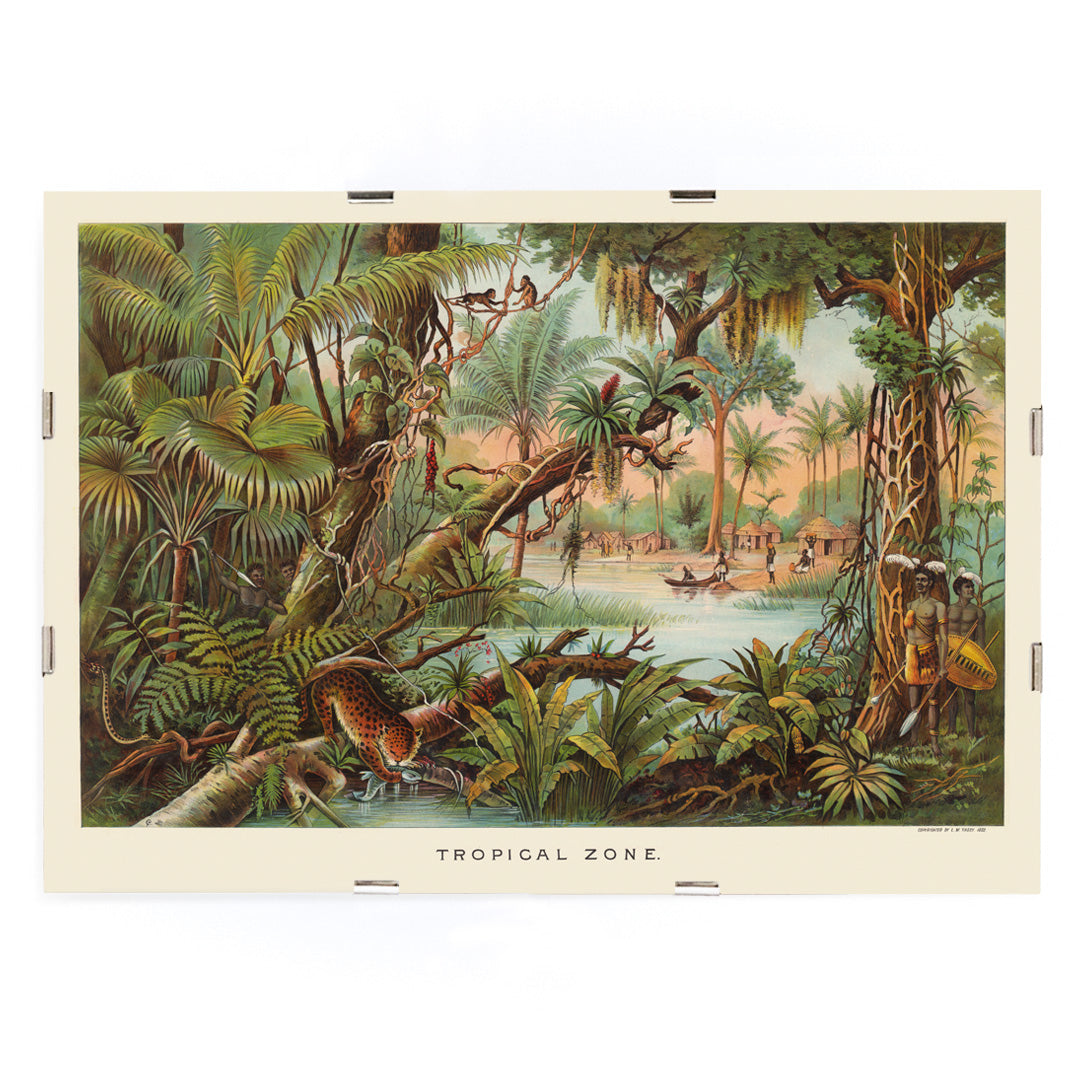 Zone tropicale Canvas Print
