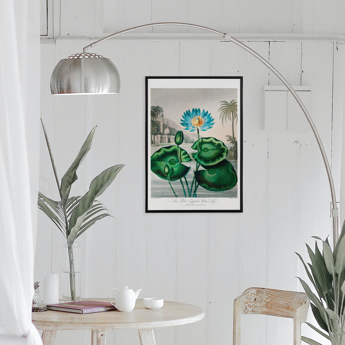 Le nénuphar égyptien bleu Canvas Print
