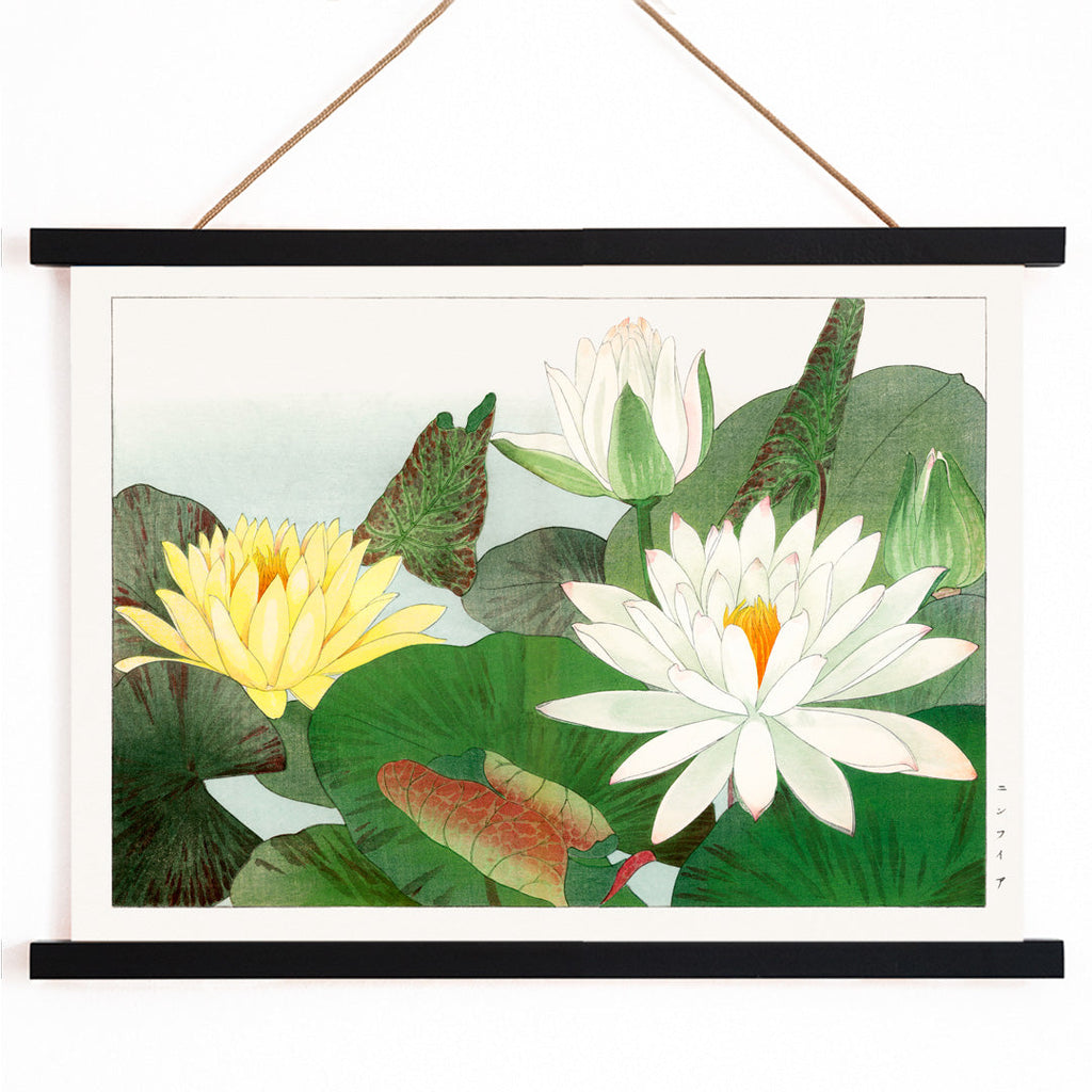 Nymphaea lotus Canvas Print
