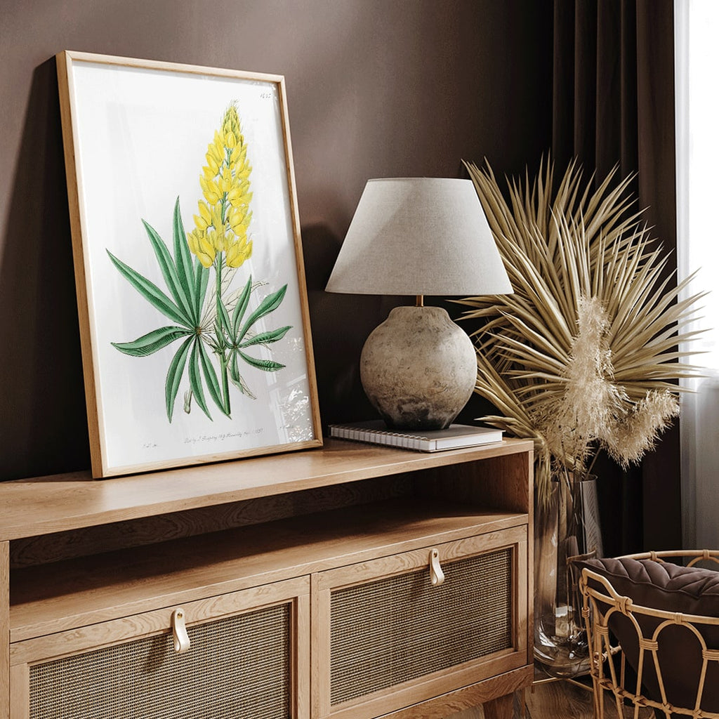 Lupin vivace jaune Canvas Print